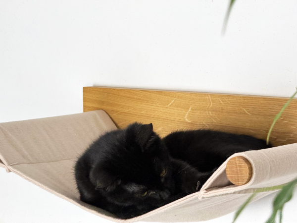 Hängematte | Kletterwand für Katzen