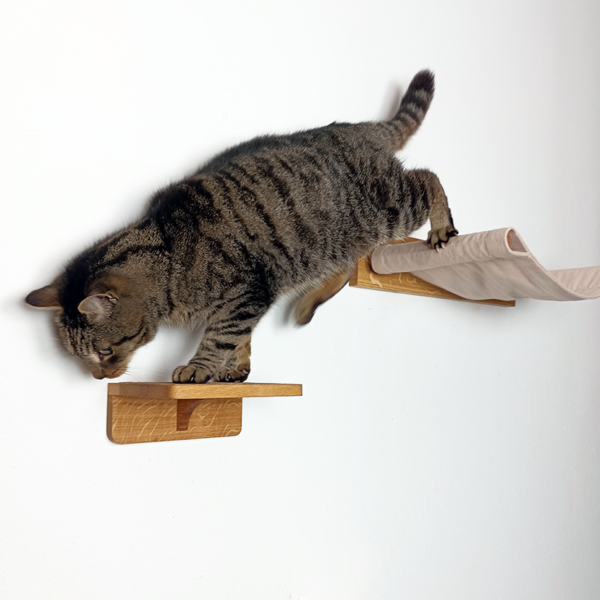 Hängematte | Kletterwand für Katzen – Bild 2