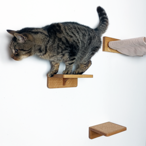 Katzenstufen aus massiver Eiche | Kletterwand